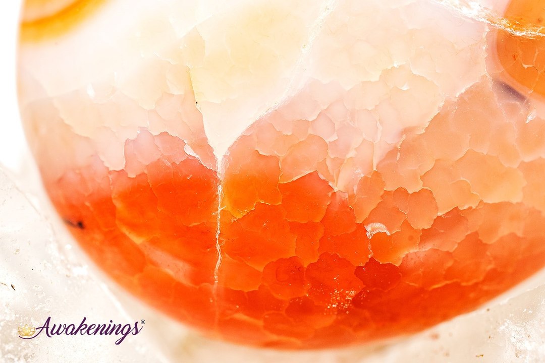 Fire Agate Palm/Pillow Stone