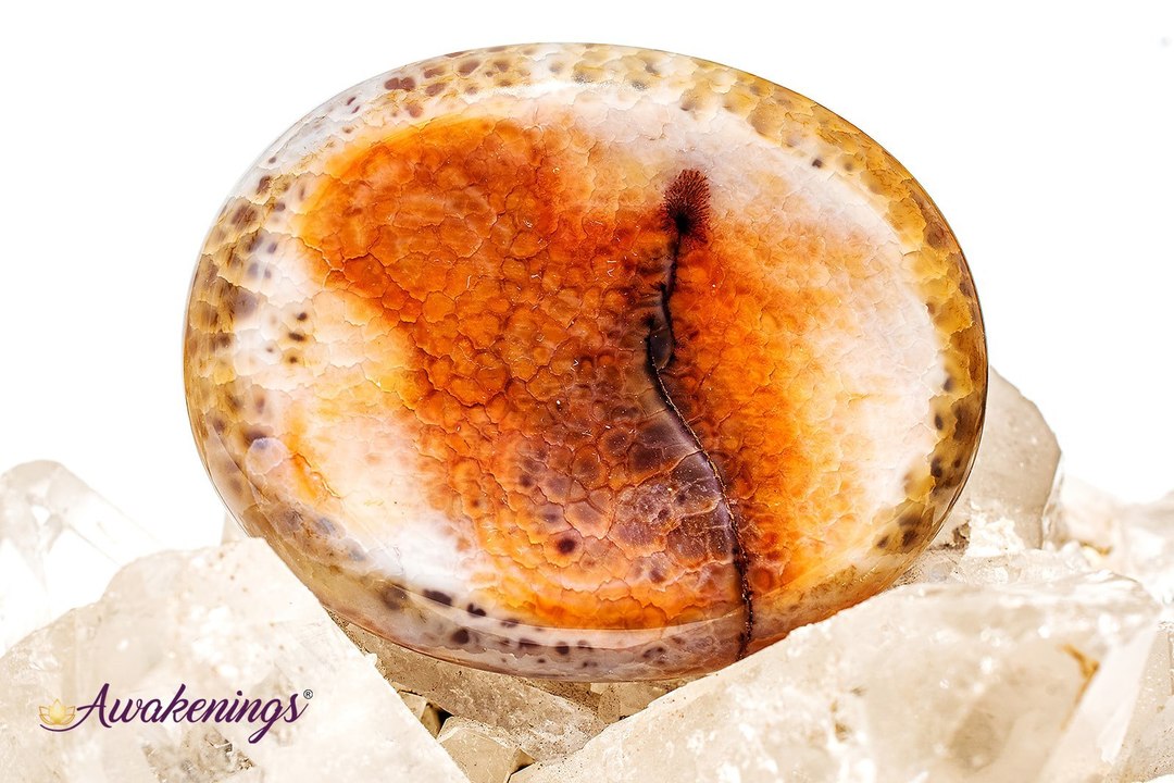 Fire Agate Palm/Pillow Stone