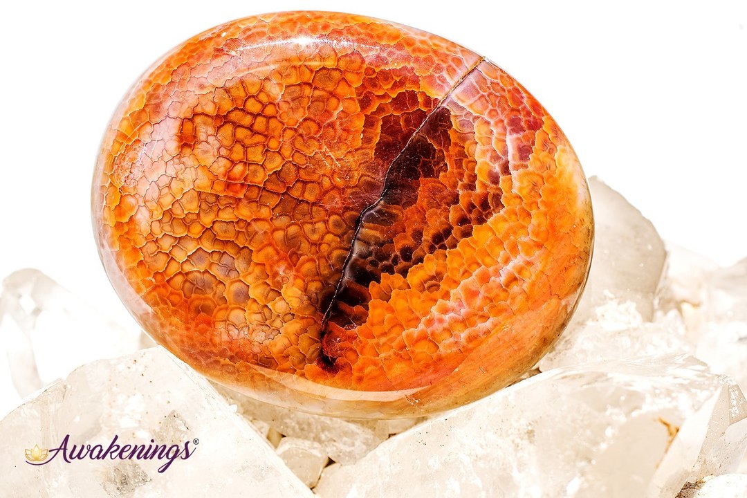 Fire Agate Palm/Pillow Stone