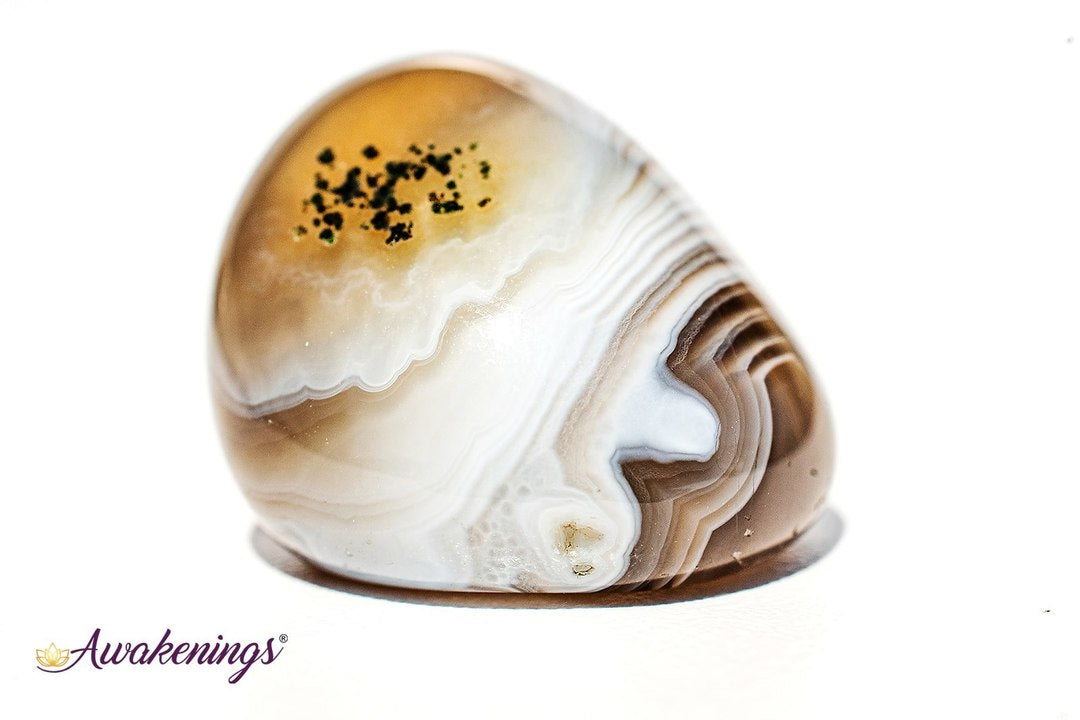 Grey Botswana Agate - Tumbled Large