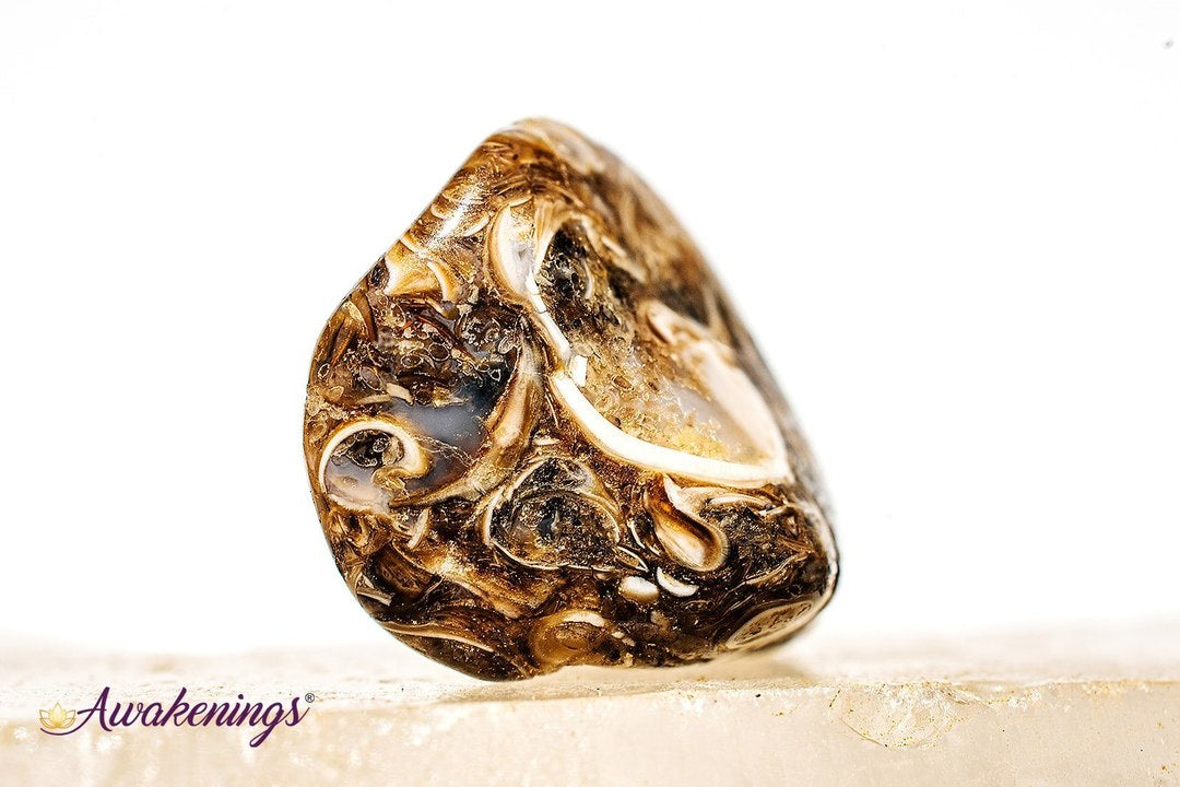 Turritella Agate - Tumbled Small