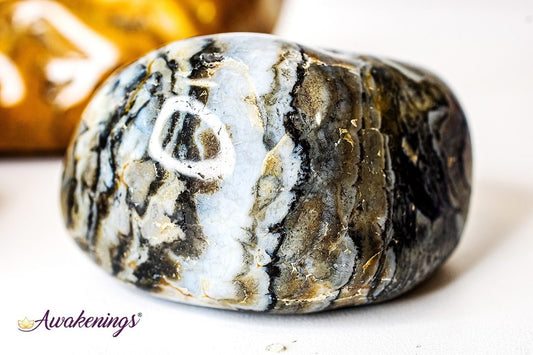 Prairie Agate Tumbled XXL