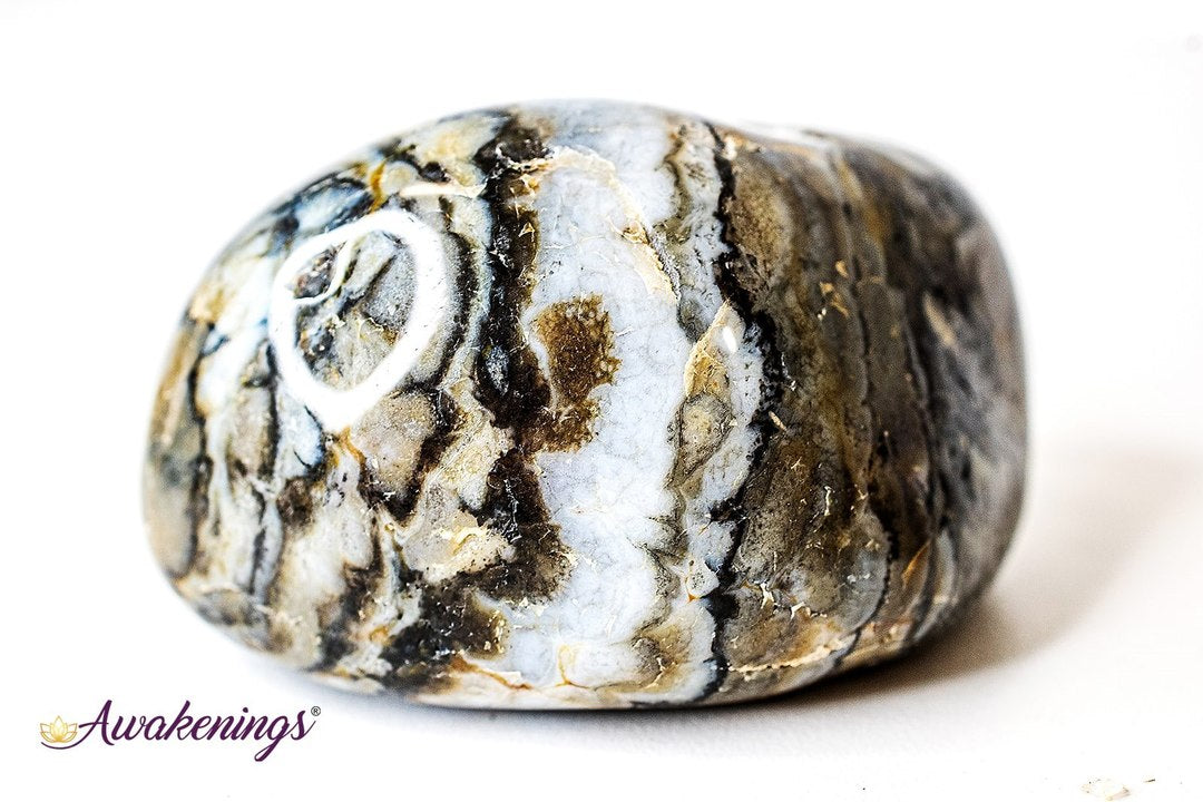 Prairie Agate Tumbled XXL