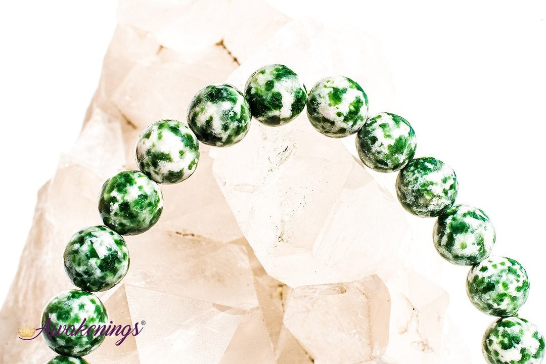 Tree Agate Bracelet- 8-9 mm