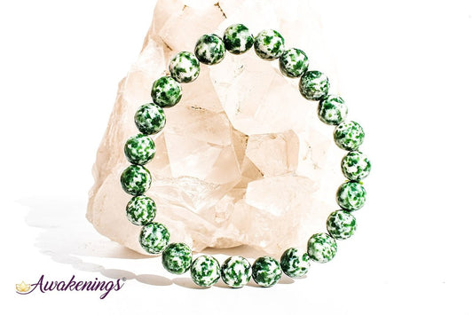 Tree Agate Bracelet- 8-9 mm