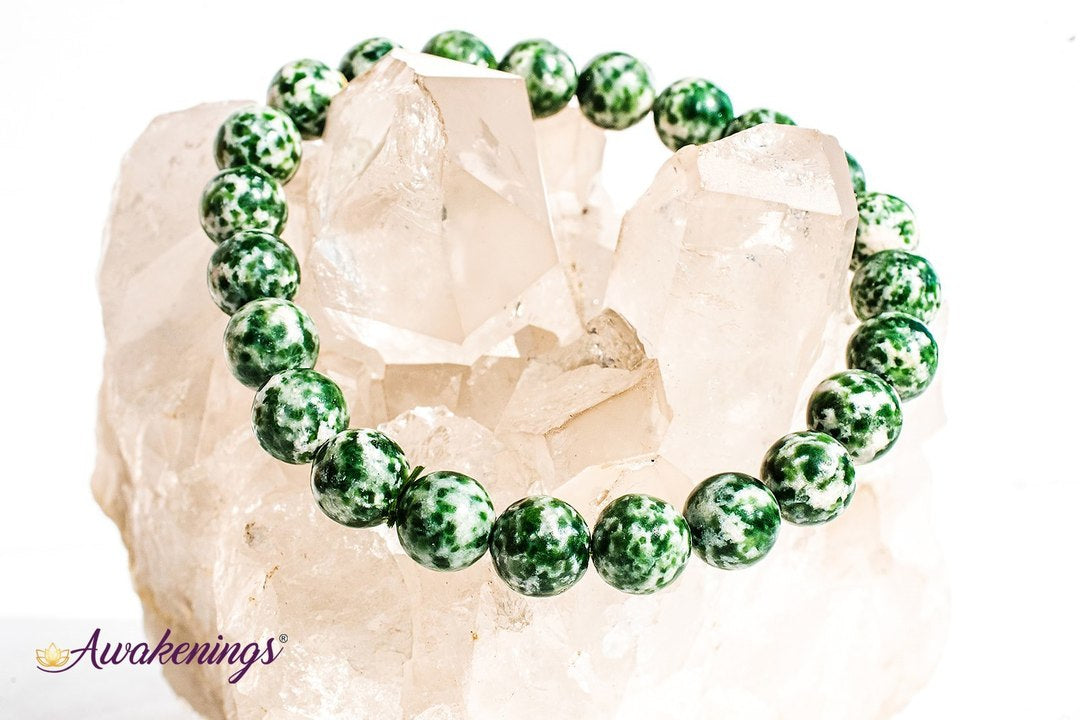 Tree Agate Bracelet- 8-9 mm
