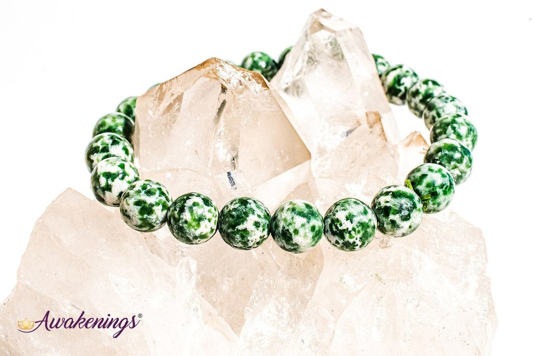 Tree Agate Bracelet- 8-9 mm