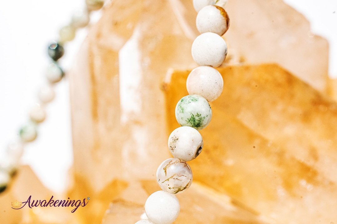 Tree Agate Bracelet - 4mm
