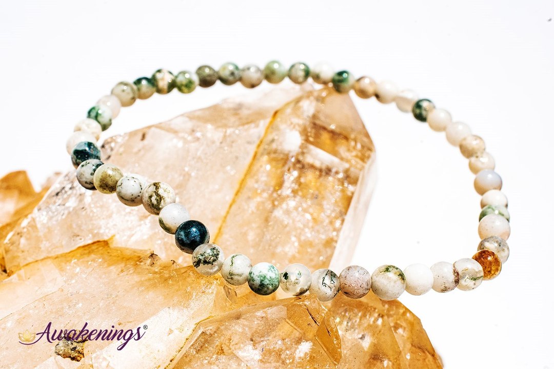 Tree Agate Bracelet - 4mm