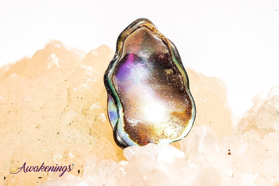 Abalone Shell - Tumbled