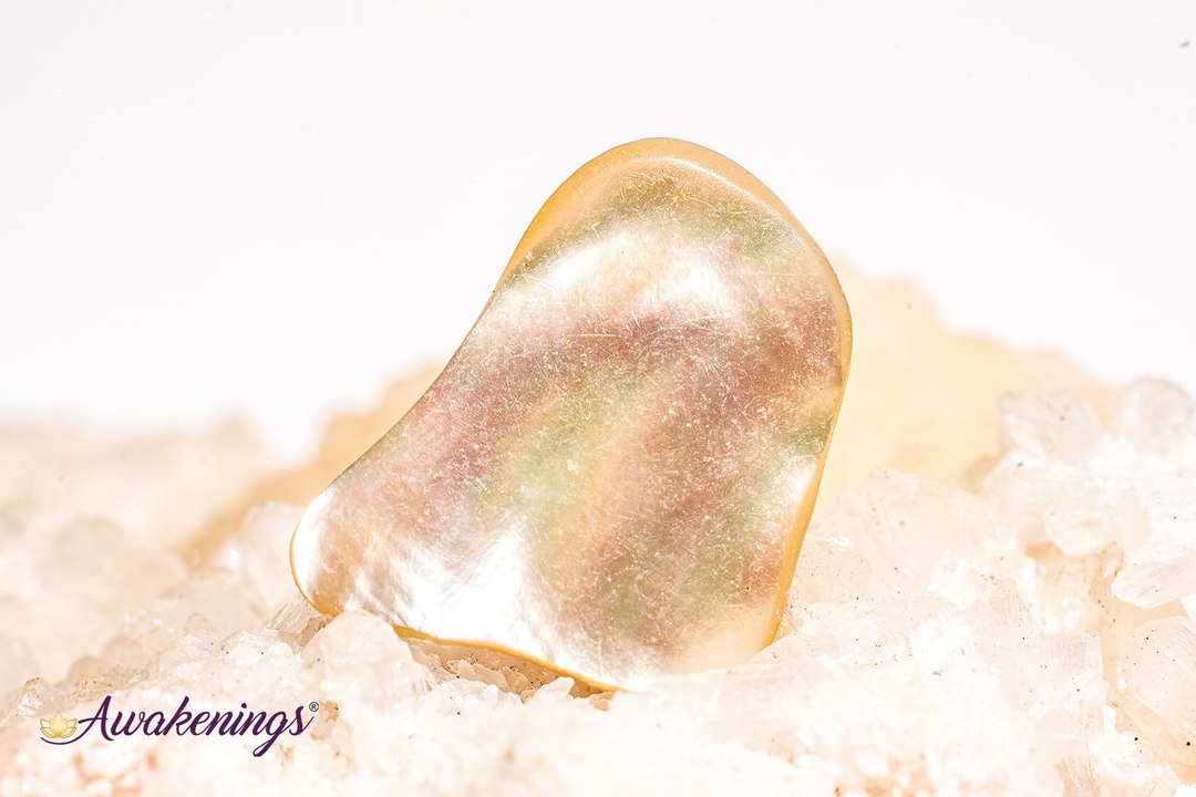 Abalone Shell - Tumbled