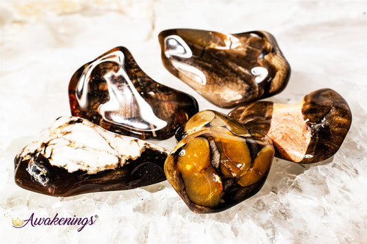 Peanut Wood- Tumbled XL