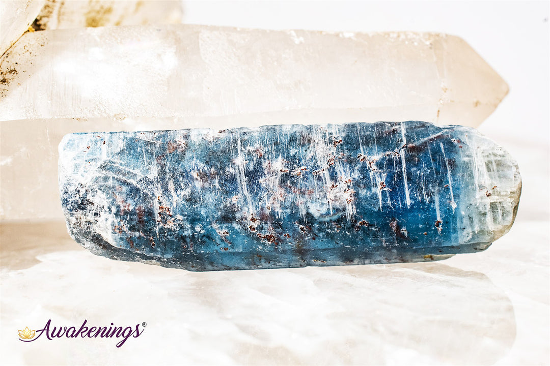 Ruby in Blue Kyanite-Large Natural Rough Raw