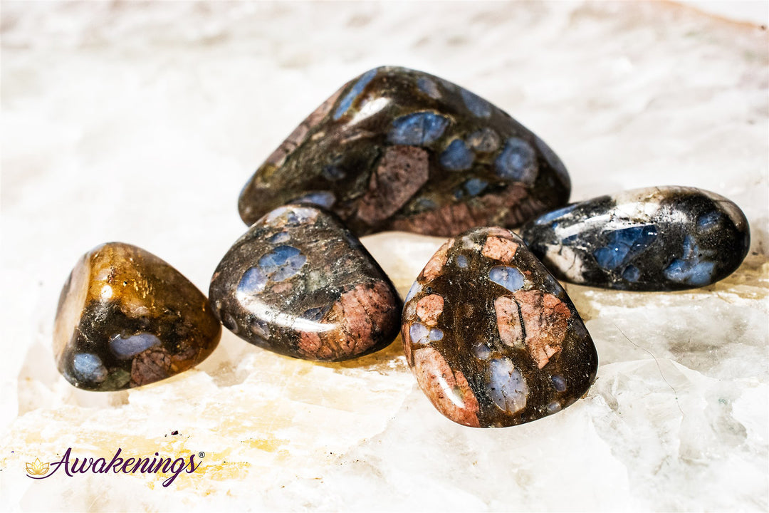 Quesera /Llanite Blue Opal - Tumbled