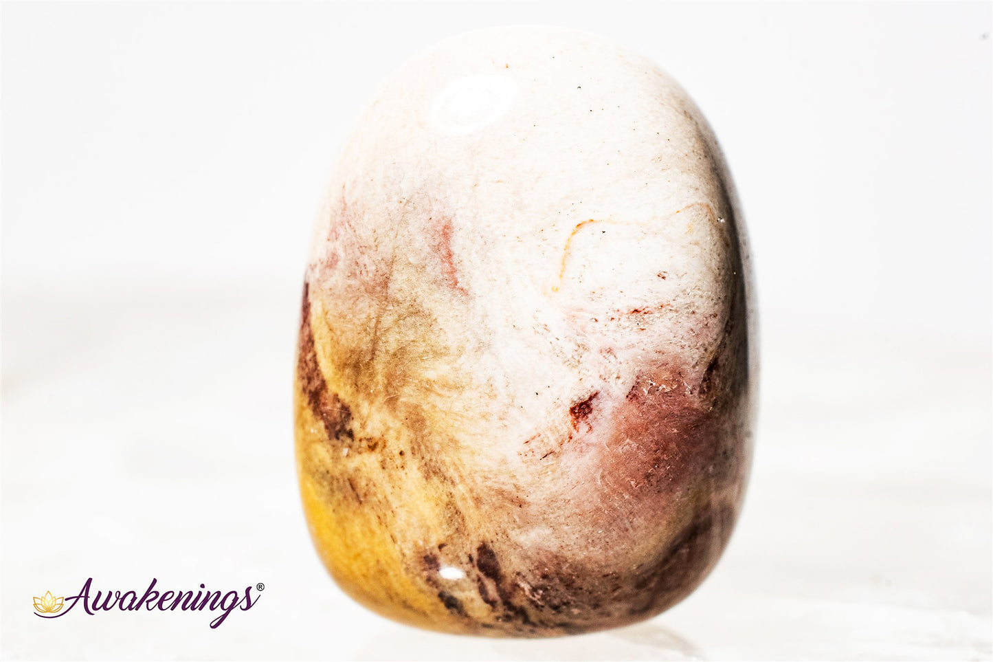 Large Petrified Wood Tumbled - Tumbled