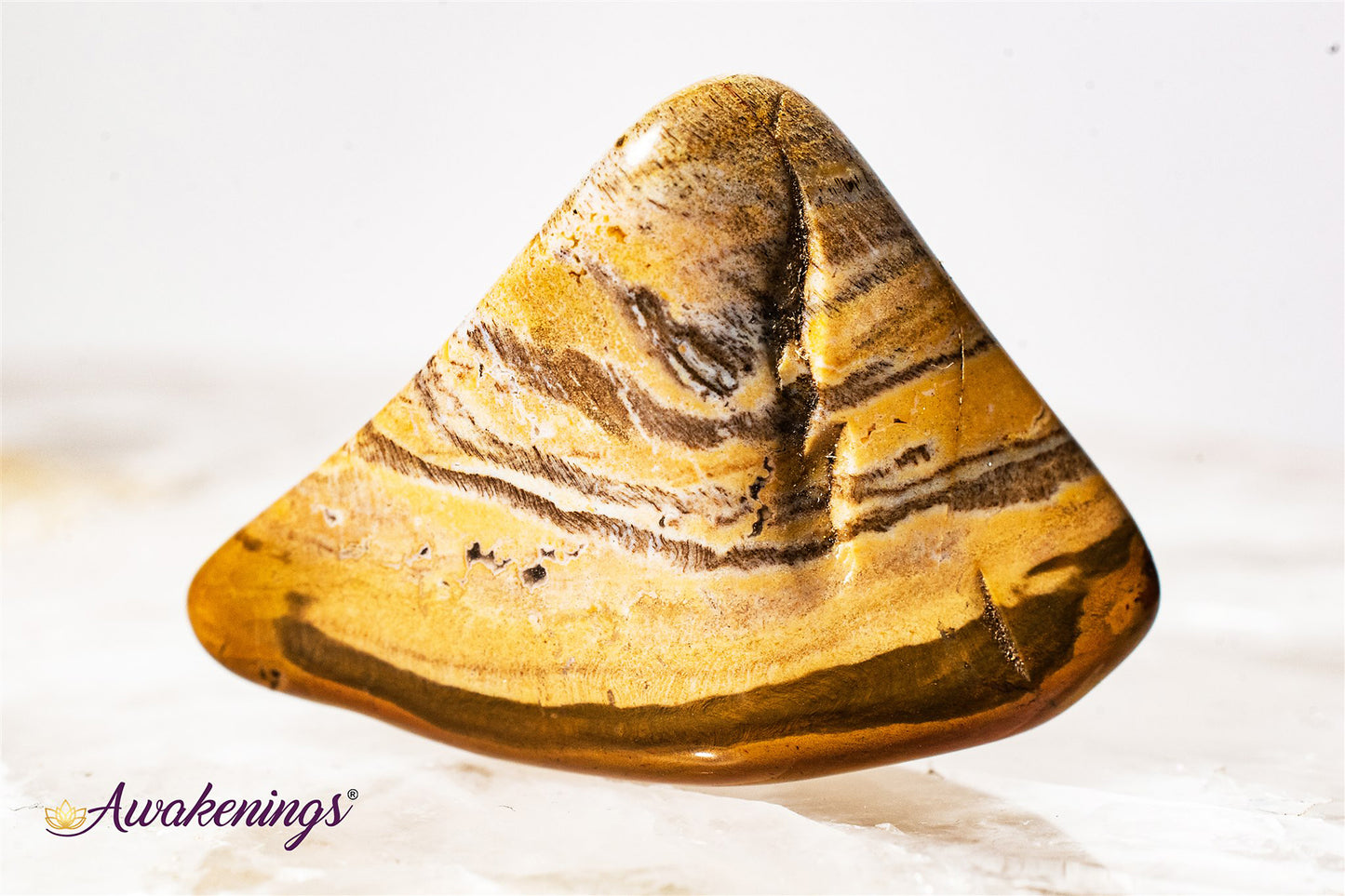 Large Petrified Wood Tumbled - Tumbled