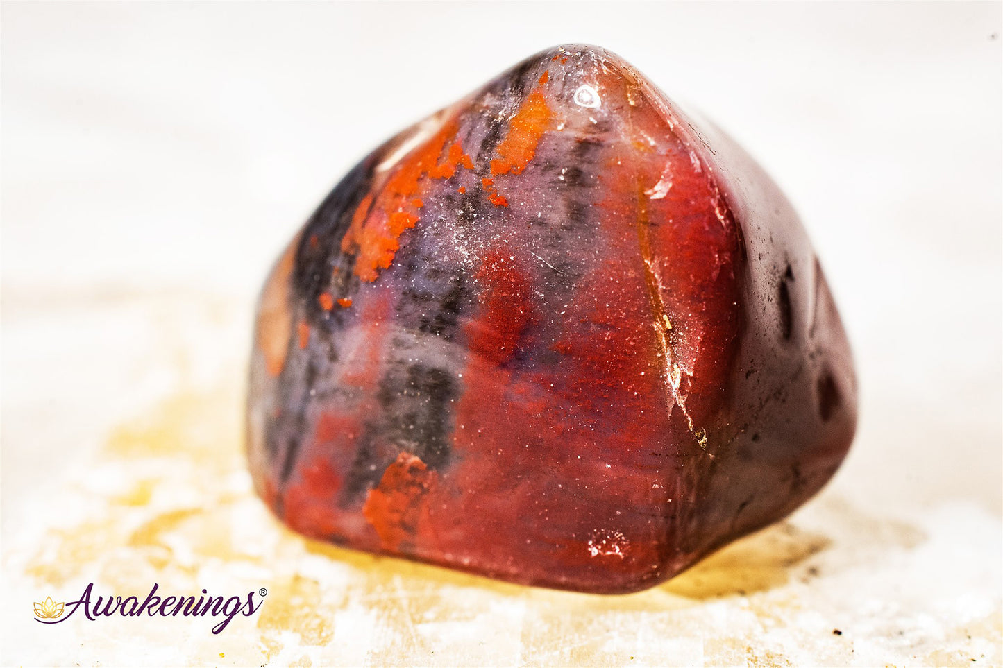 Large Petrified Wood Tumbled - Tumbled