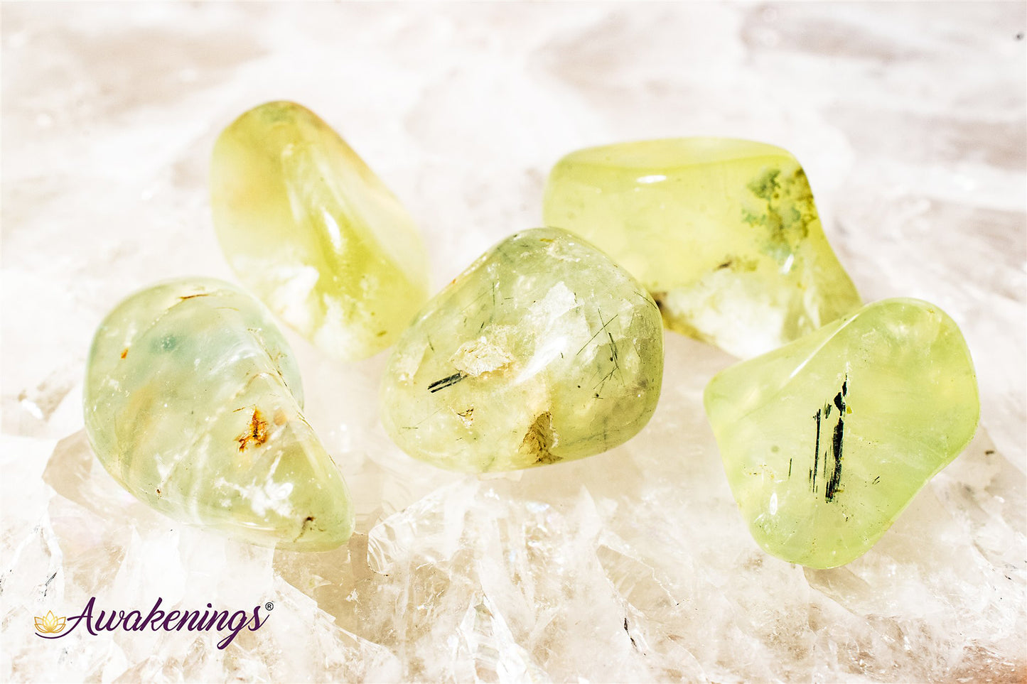 Green Prehnite - Tumbled