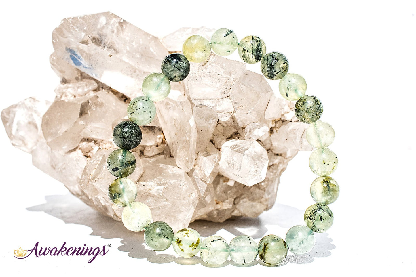 Prehnite Bracelet 8mm