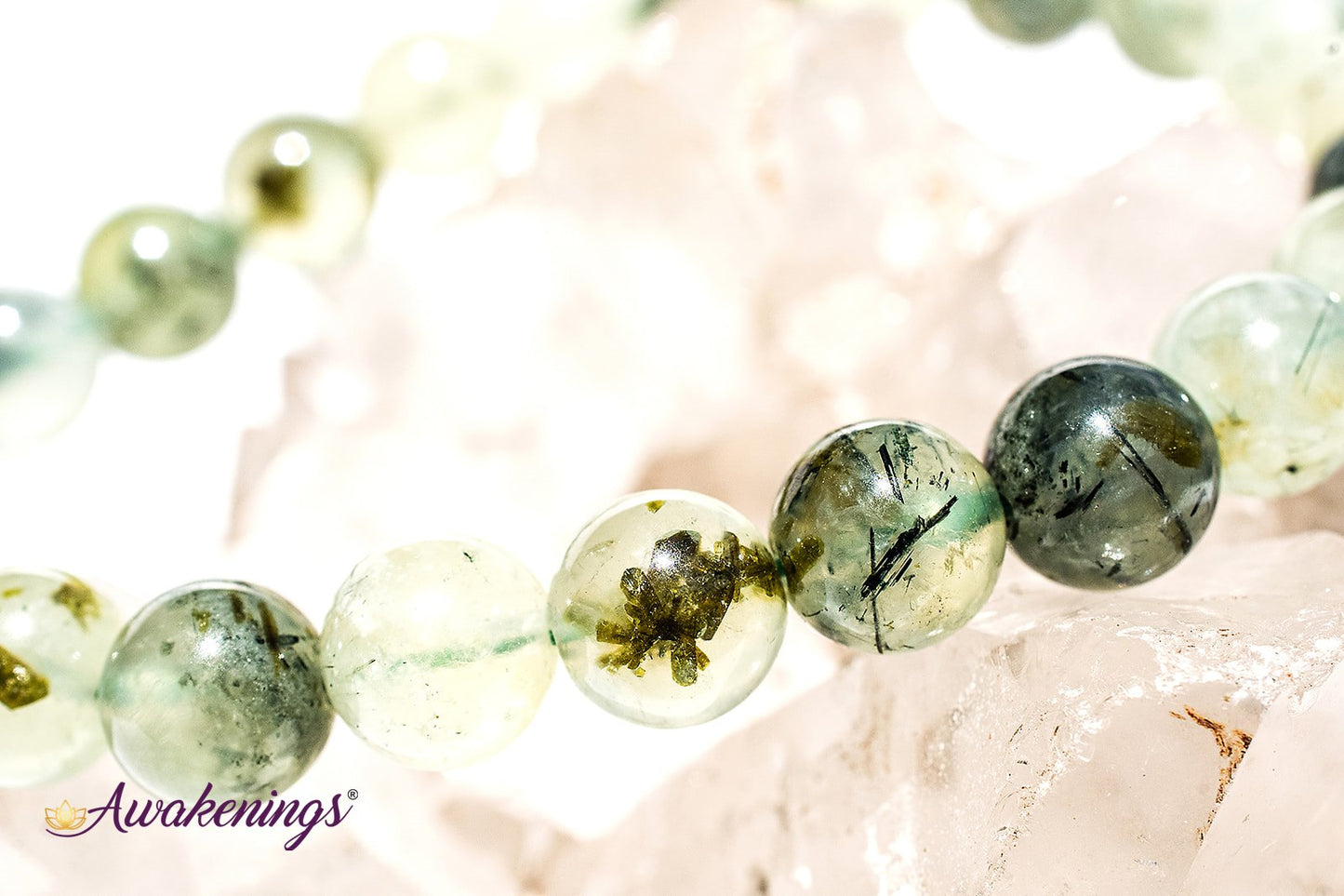 Prehnite Bracelet 8mm
