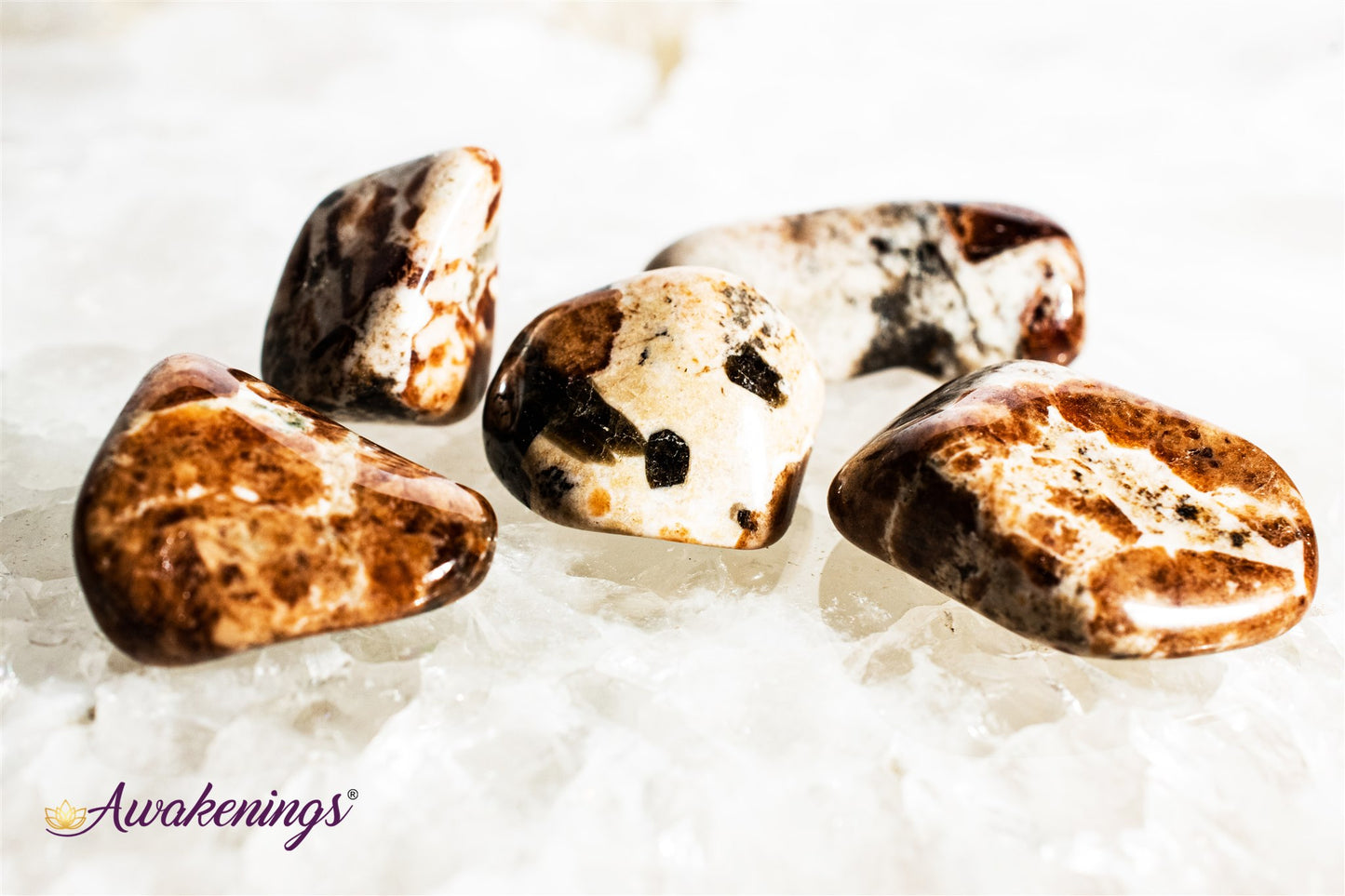 Garnet in Limestone - Tumbled