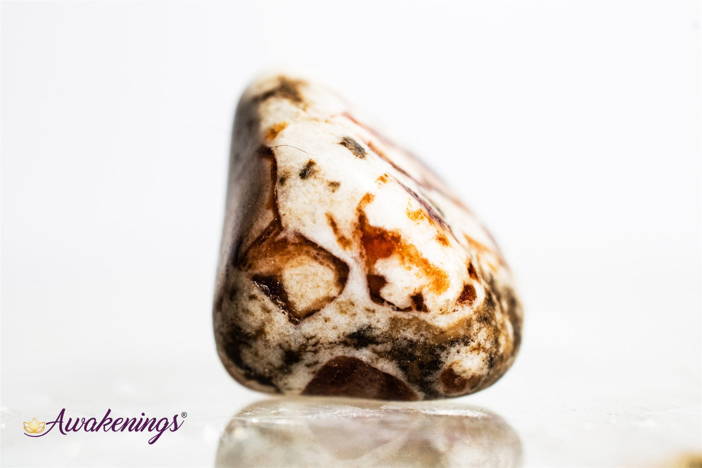 Garnet in Limestone - Tumbled