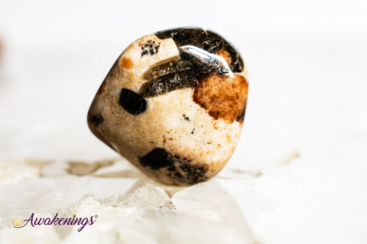 Garnet in Limestone - Tumbled