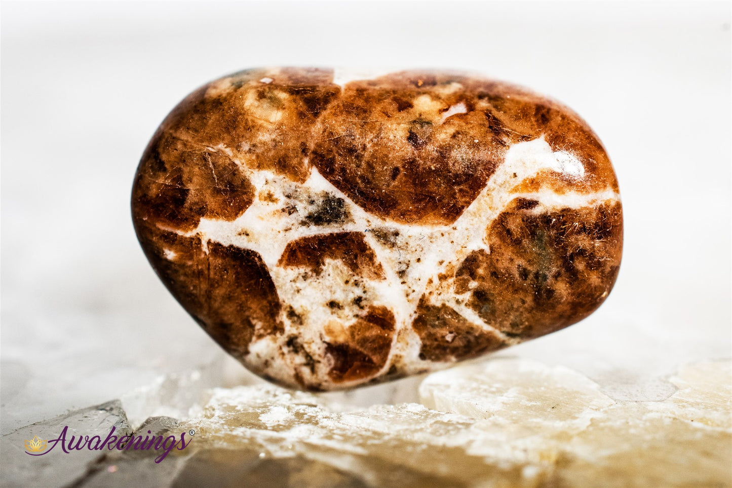 Garnet in Limestone - Tumbled