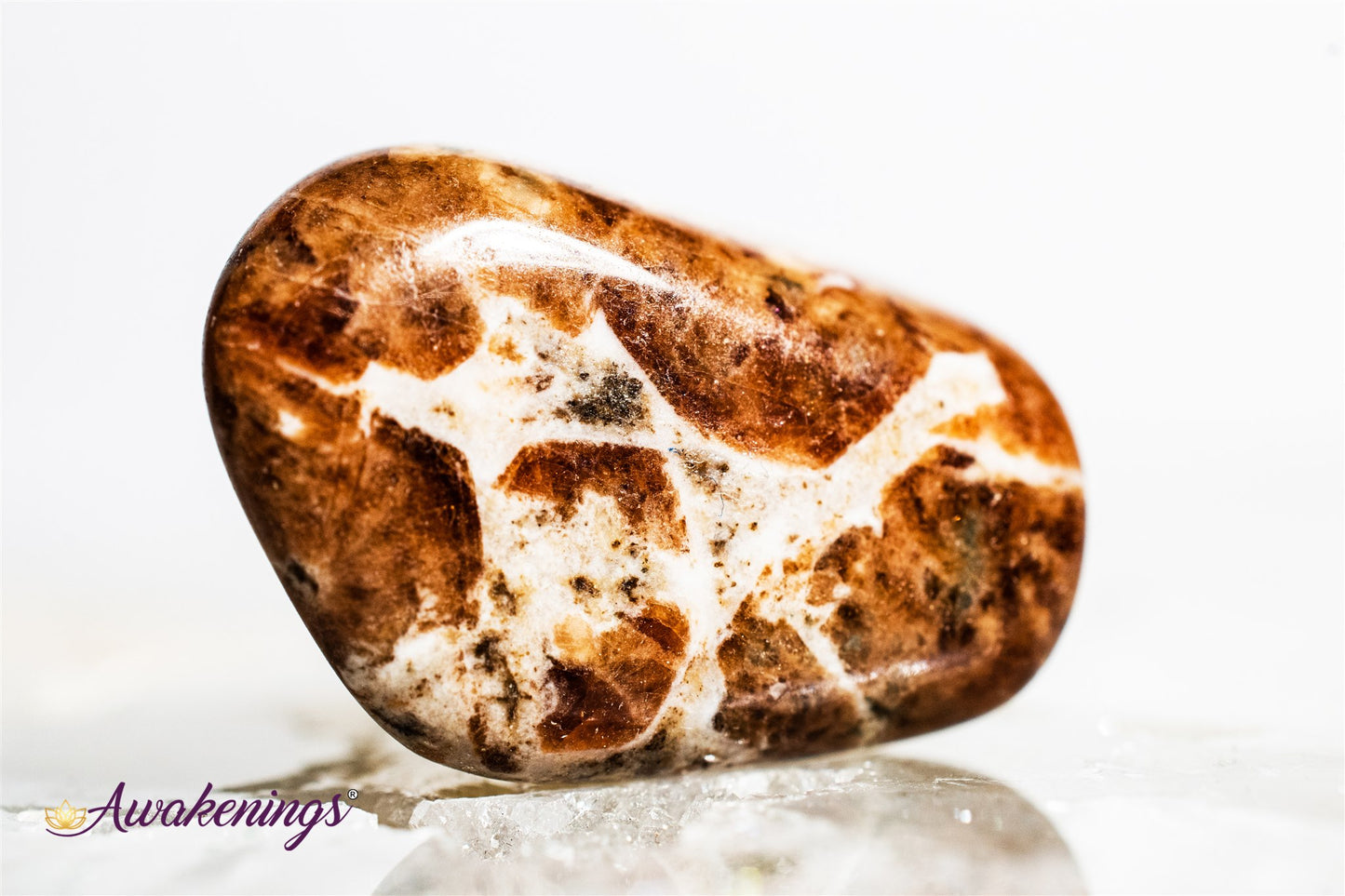 Garnet in Limestone - Tumbled