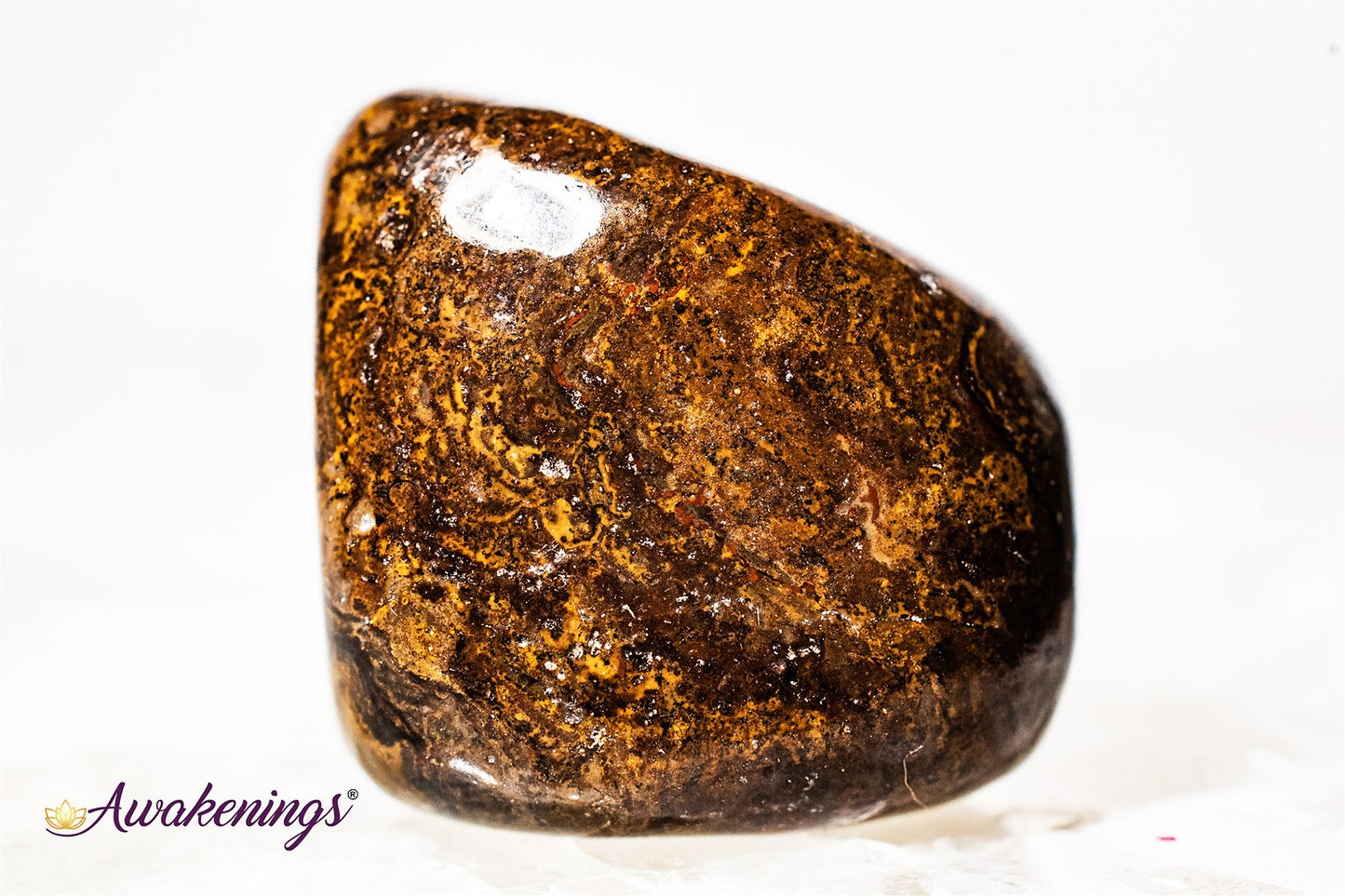 Stromatolite (Dark) Plum Jasper - Tumbled