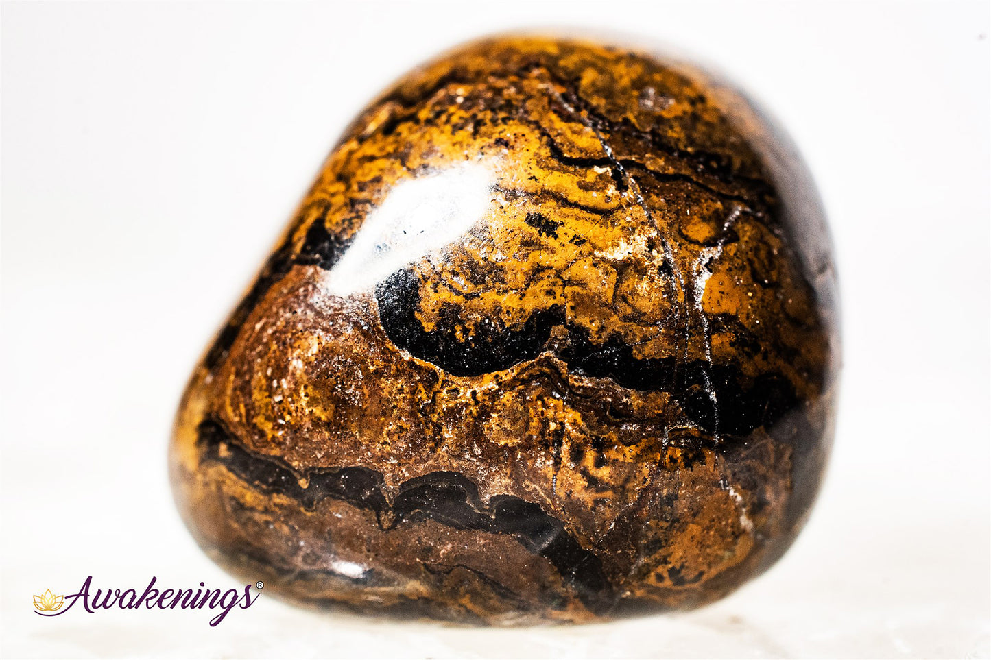 Stromatolite (Dark) Plum Jasper - Tumbled