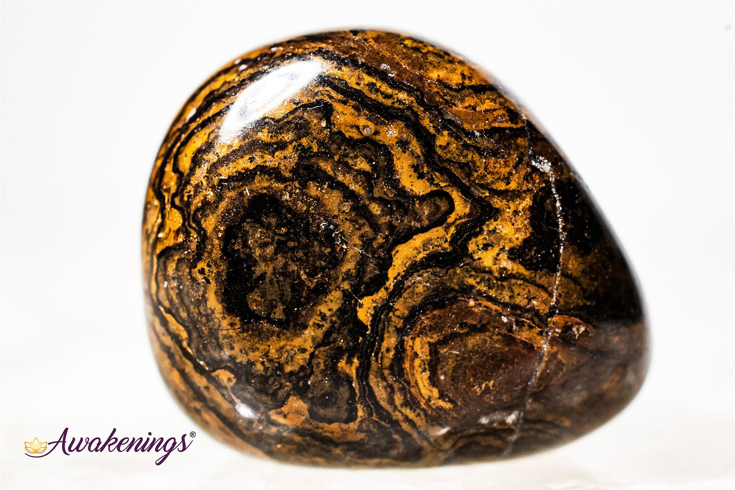 Stromatolite (Dark) Plum Jasper - Tumbled