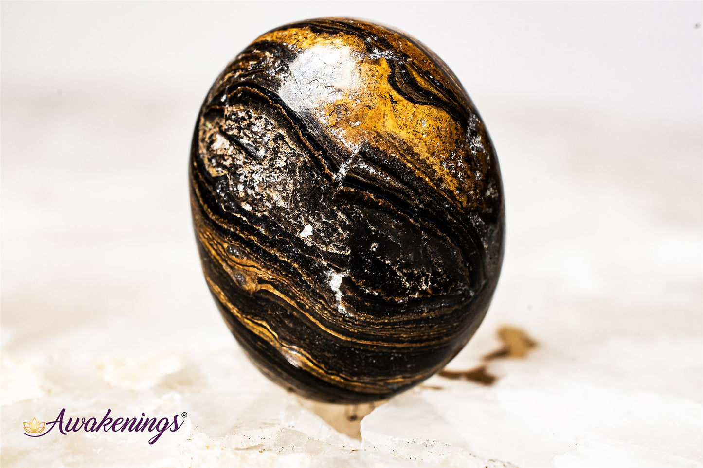 Stromatolite (Dark) Plum Jasper - Tumbled