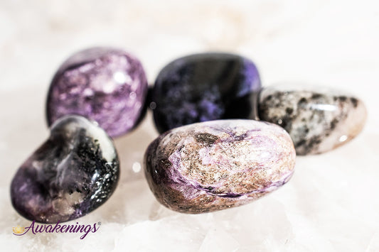 Charoite - Large Tumbled