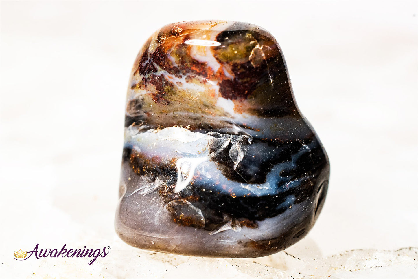 Petrified Wood Medium - Tumbled