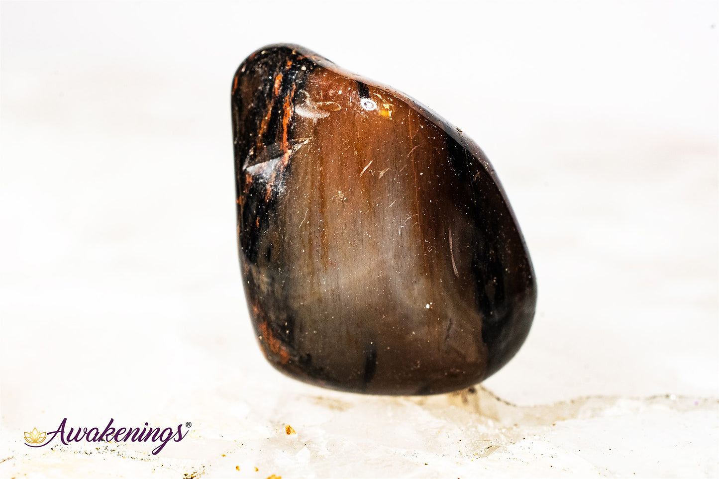 Petrified Wood Medium - Tumbled