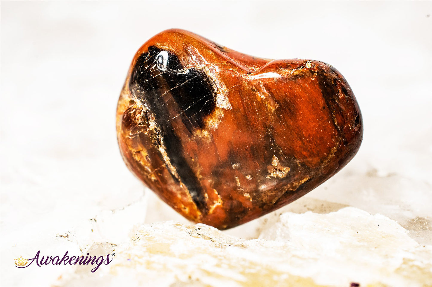 Petrified Wood Medium - Tumbled