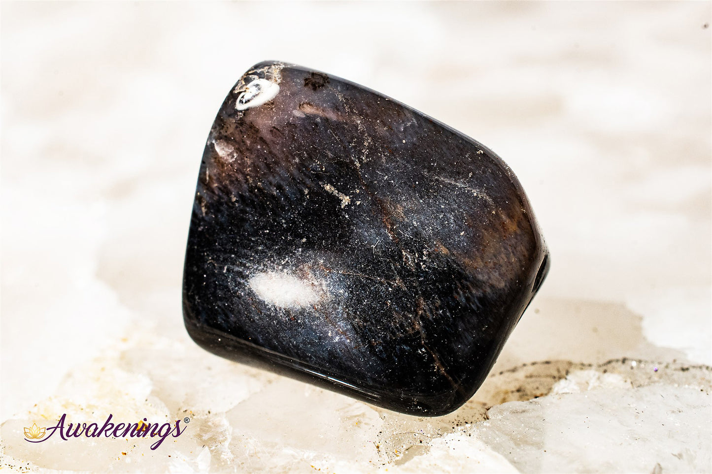 Petrified Wood Medium - Tumbled