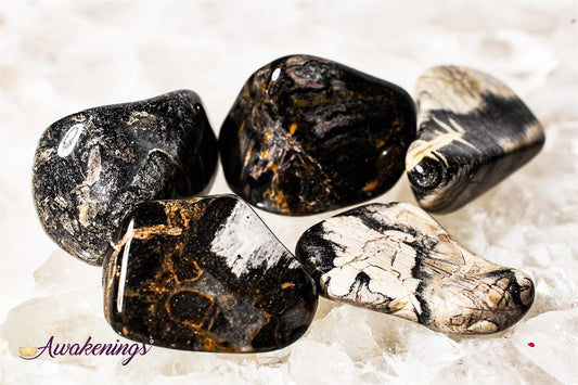 Silver Leaf Jasper - Tumbled