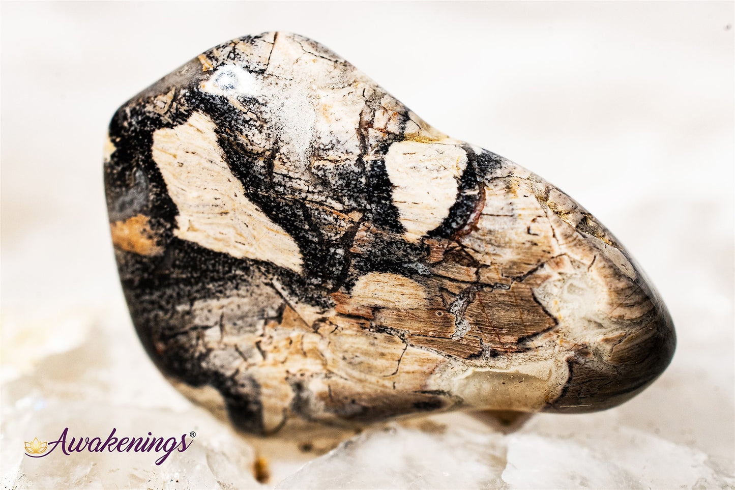 Silver Leaf Jasper - Tumbled