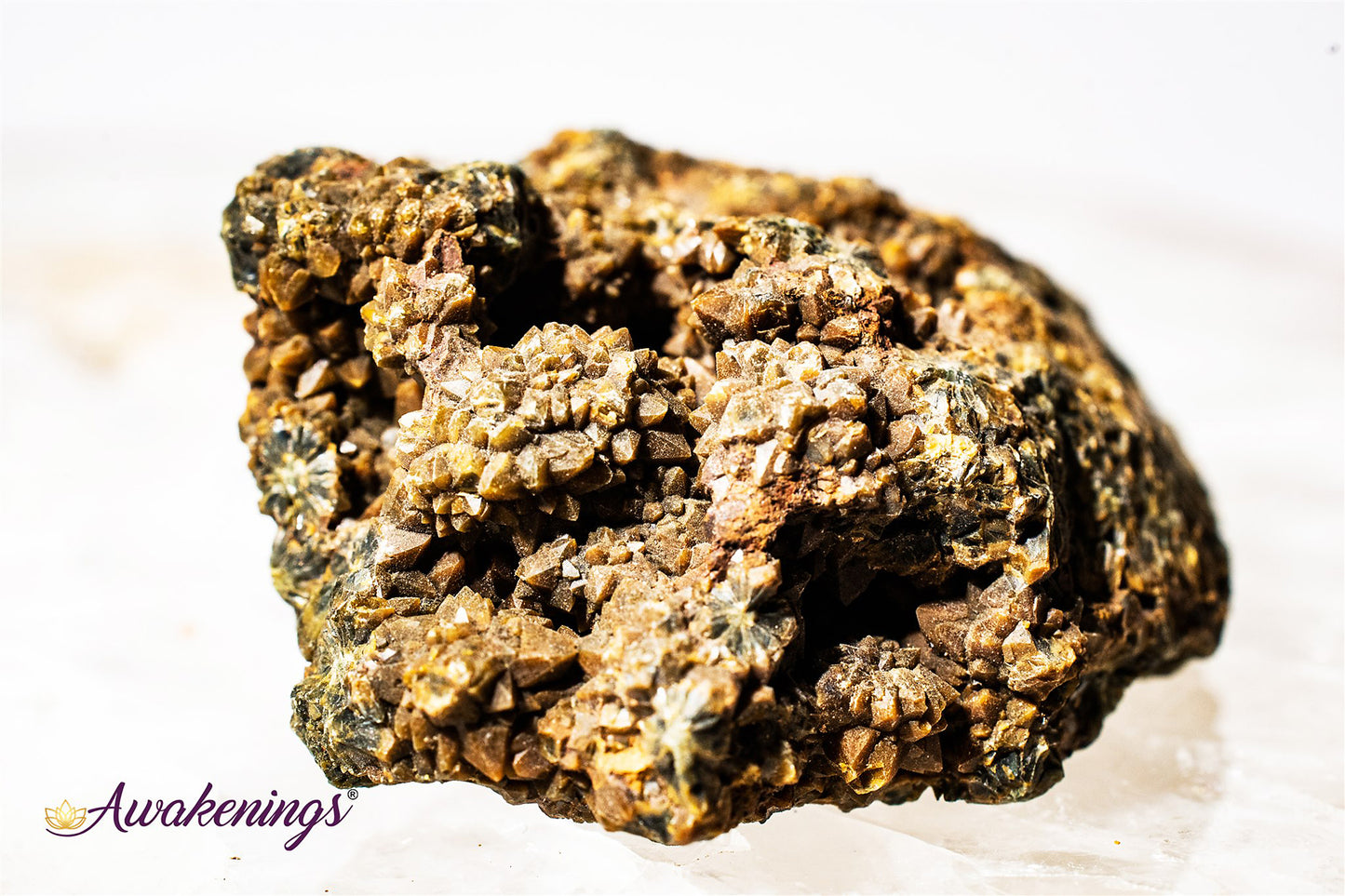 Ocean Jasper/Sea Sediment - Rough Raw Natural