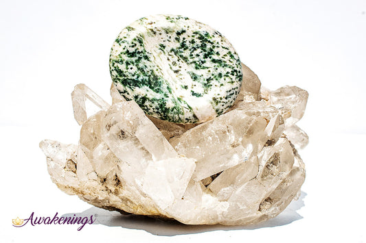 Tree Agate Worry Stone- Large Oval