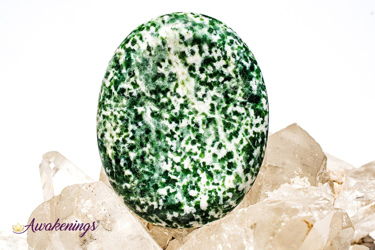 Tree Agate Worry Stone- Large Oval