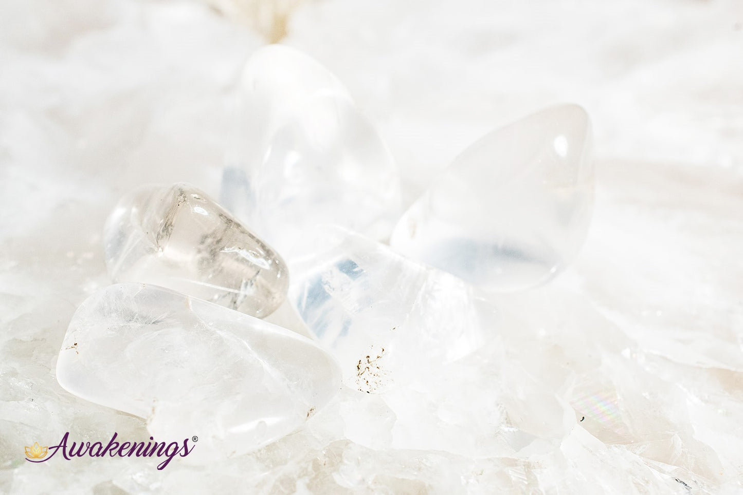 White Star Girasol Quartz (Milky) - Tumbled