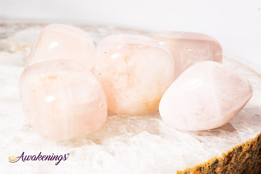 Rose Quartz Tumbled-XXL