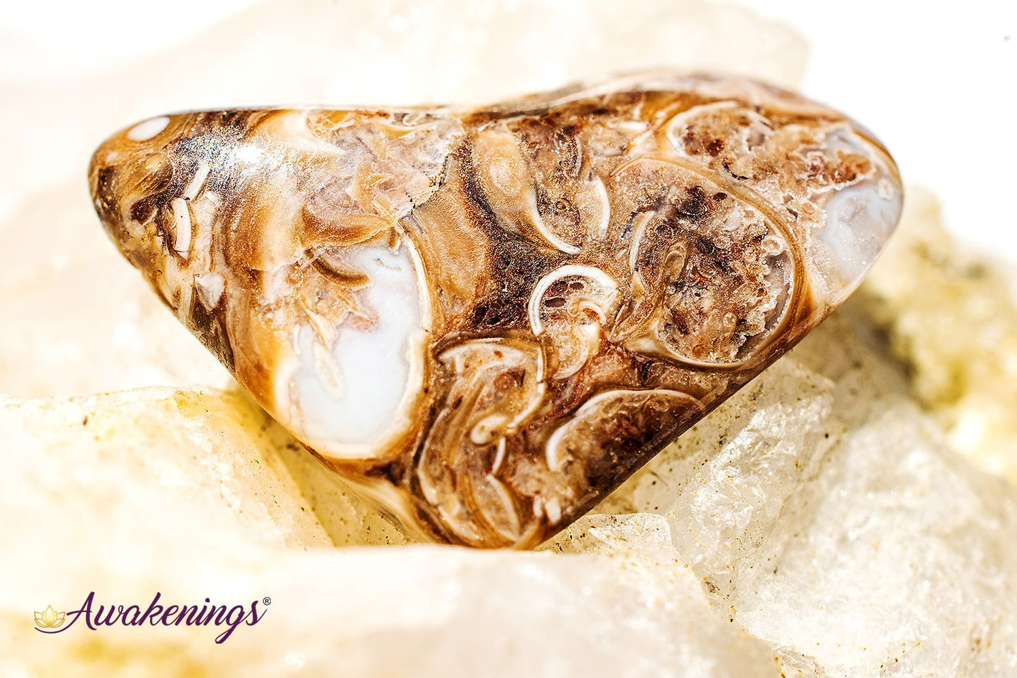 Turritella Agate - Tumbled Small