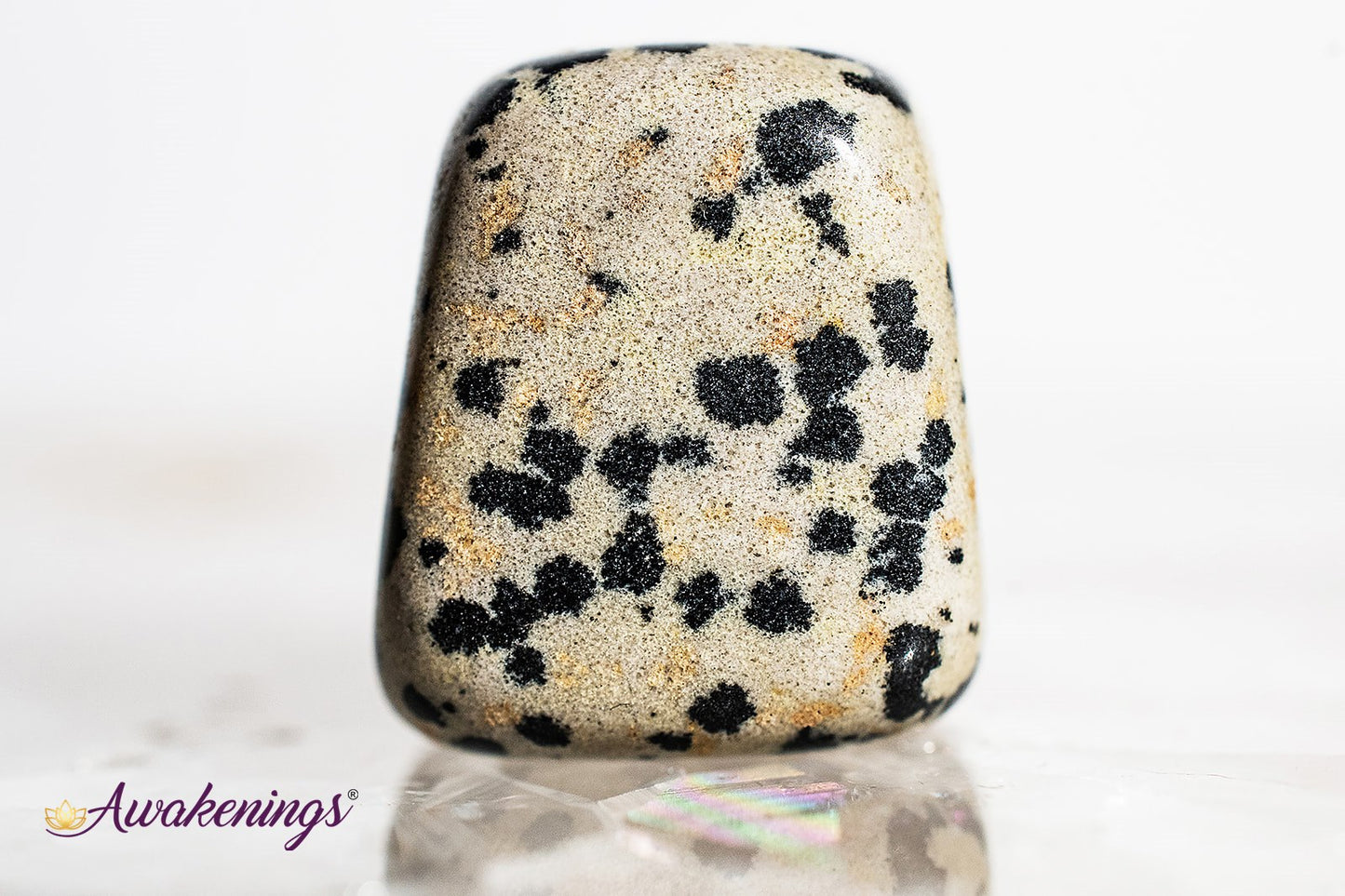 Dalmatian Jasper - Tumbled