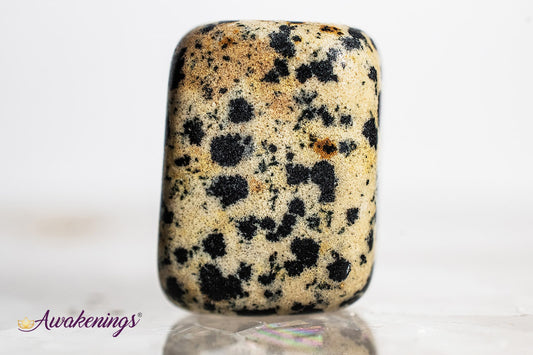 Dalmatian Jasper - Tumbled