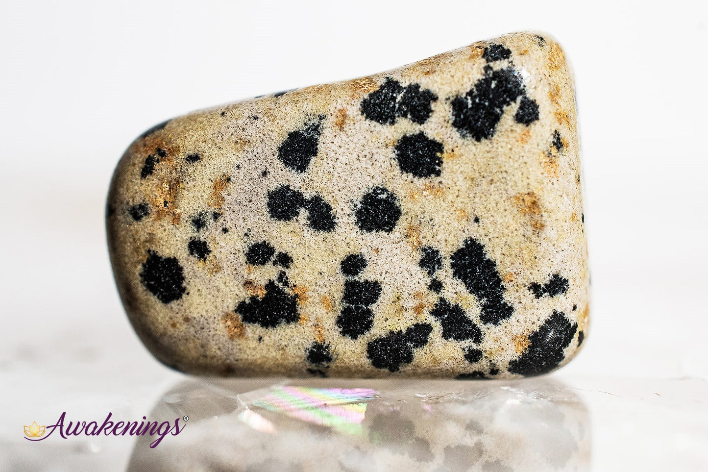 Dalmatian Jasper - Tumbled