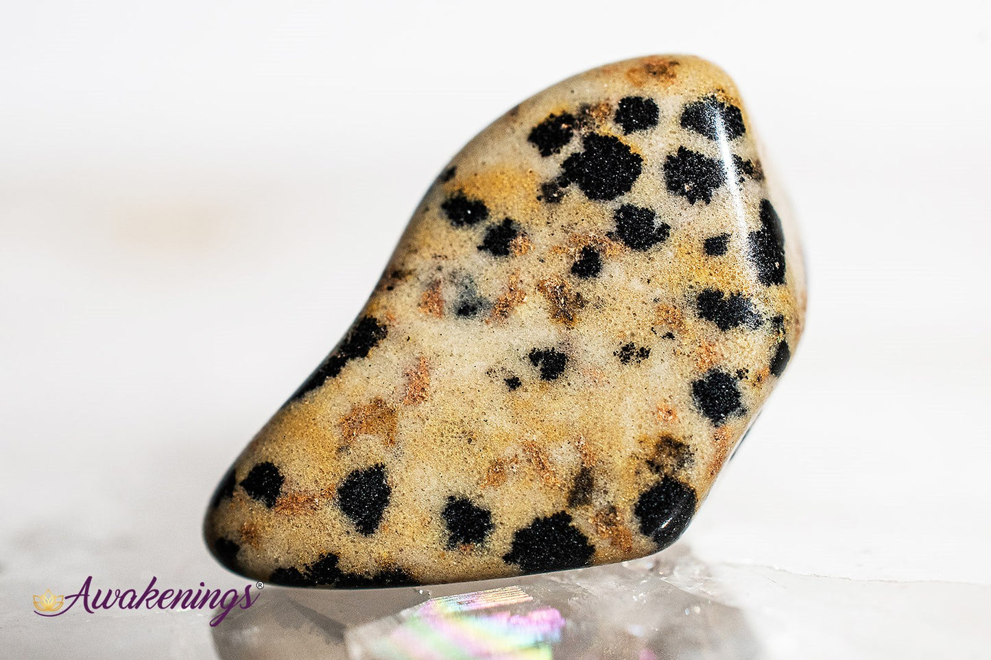 Dalmatian Jasper - Tumbled